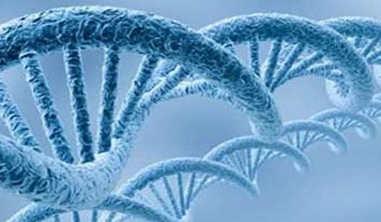 نقش ژنتیک در سرطان
