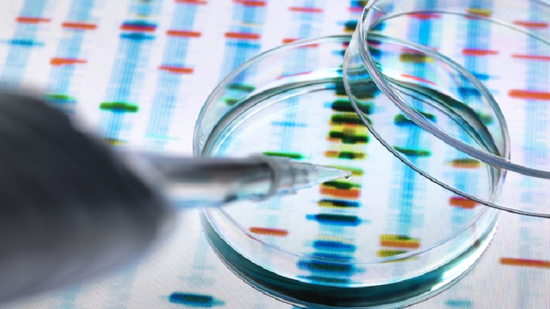  آزمایشگاه ژنتیک اصفهان چند نوع تست ژنتیک وجود دارد ؟