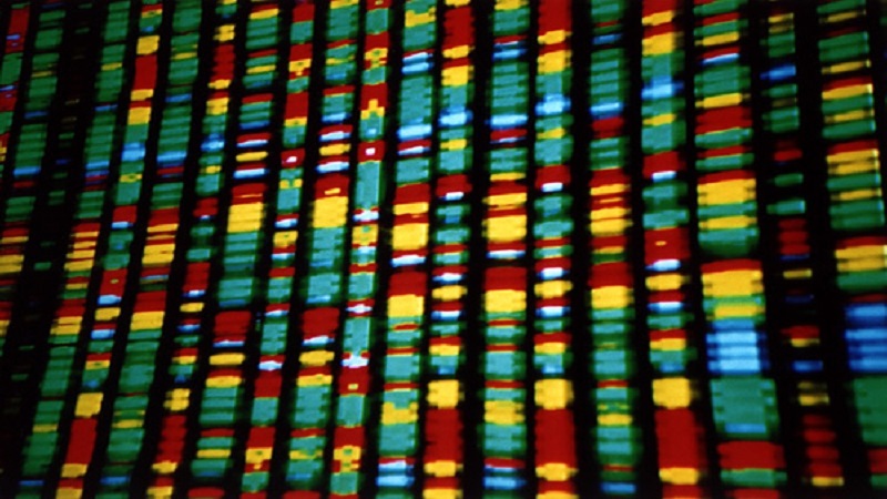  آزمایشگاه ژنتیک اصفهان | چه کسانی نیاز به آزمایش‌ ژنتیک سرطان دارند؟
