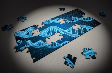 آزمایشگاه ژنتیک اصفهان | عوامل خطرآفرین در سندرم لینچ