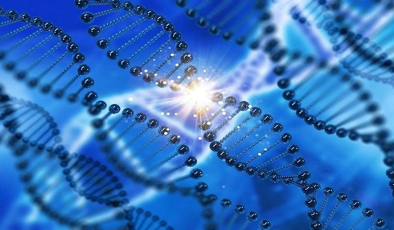 آزمایشگاه ژنتیک اصفهان | سندروم کودن و افزایش احتمال بروز انواع سرطان