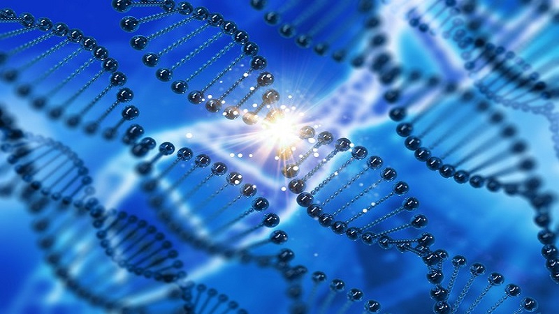آزمایشگاه ژنتیک اصفهان | سندروم کودن و افزایش احتمال بروز انواع سرطان