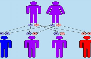 موانع ژنتیکی ازدواج | آزمایشگاه ژنتیک اصفهان