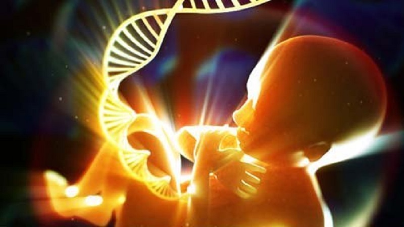 تست pcr کرونا اصفهان |  تست سلامت ژنتیکی بر پایه DNA