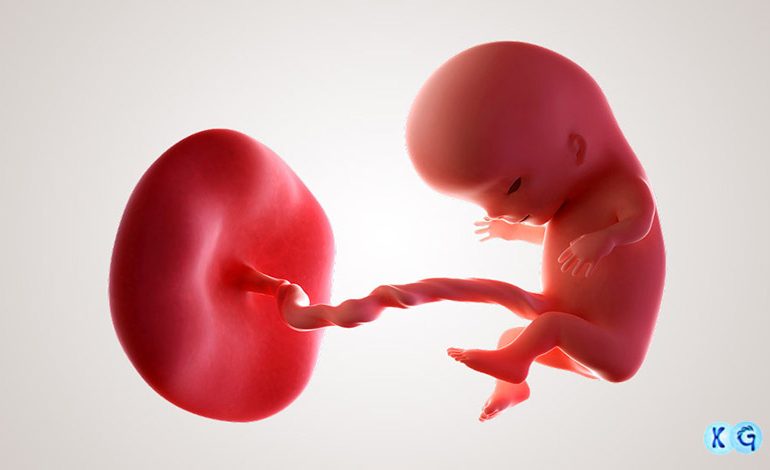 عوامل موثر در سقط جنین